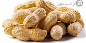 بادام زمینی