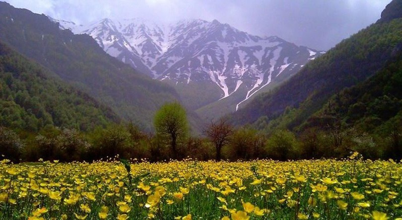 دشت دریاسر