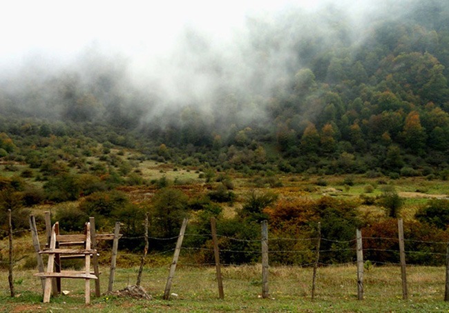 دریاسر