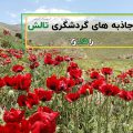 کاور