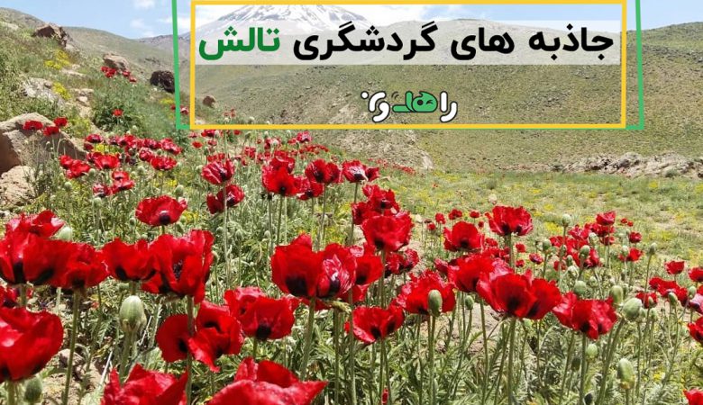 کاور